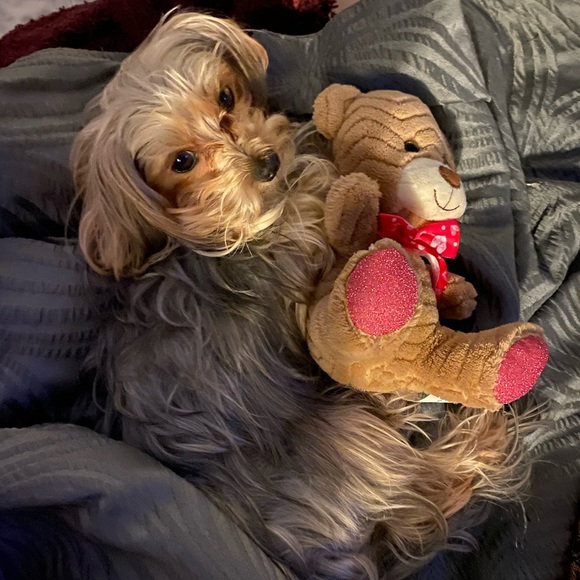 Meet your Posher, Natalie - Picture 4 of 11